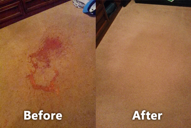 Fremont carpet cleaners